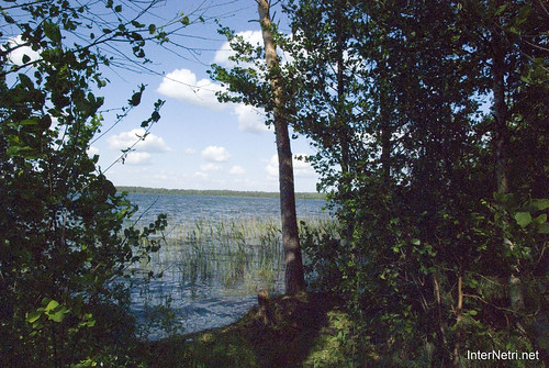 Шацький Національний Природний Парк Озеро Пісочне Берег InterNetri  Ukraine 171