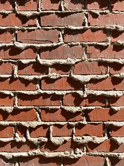 159/365: Brick and mortar