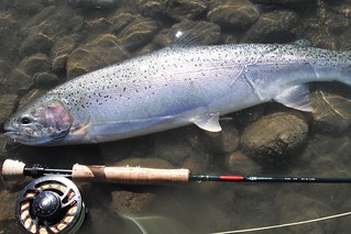 Alaska Kenai River Fishing and Saltwater 45