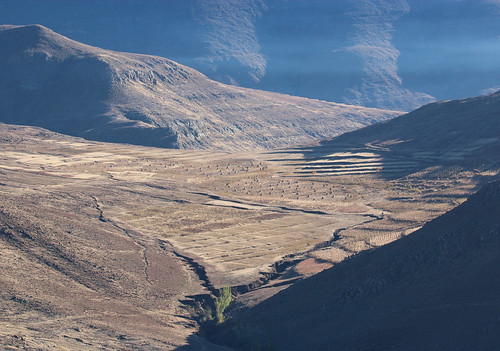High altitude farmland, Lesotho
