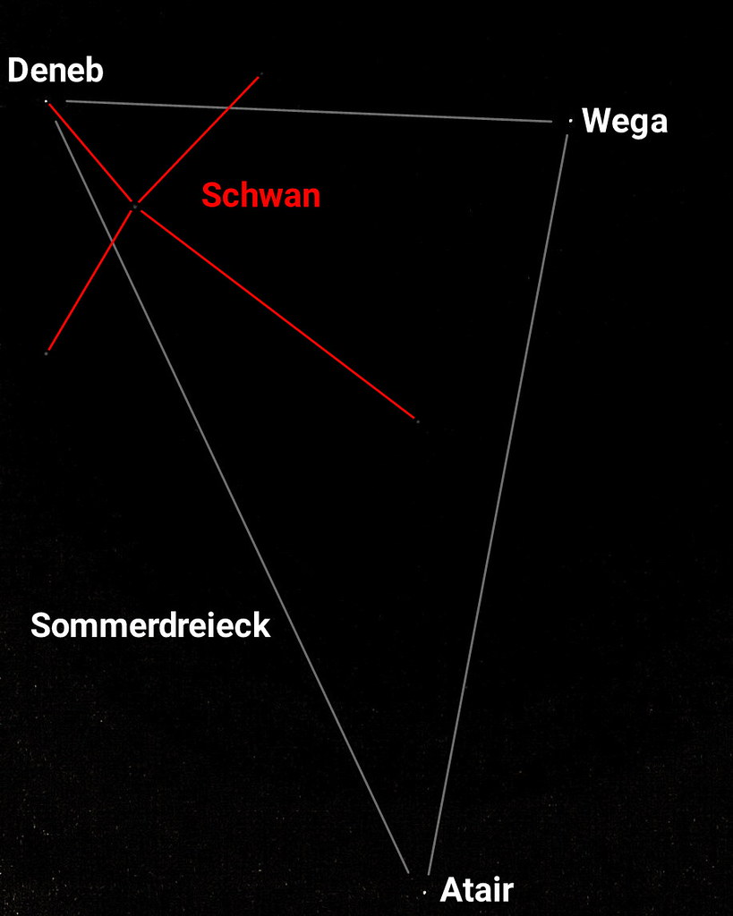 Sternbild Schwan (Cygnus)
