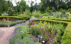 Anglų lietuvių žodynas. Žodis herb garden reiškia žolė sodas lietuviškai.