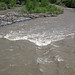 Greybull River (Meeteetse, Wyoming, USA) 4