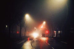 Fog on the street