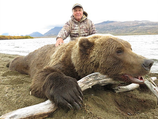 Alaska Brown Bear Hunt - Peninsula 4