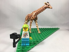 2018-172 - Giraffe Selfie Day