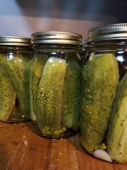 Anglų lietuvių žodynas. Žodis dill pickle reiškia krapų marinatas lietuviškai.
