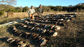 Texas Wingshooting & Driven Hunting 52