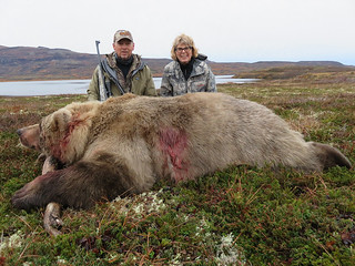 Alaska Brown Bear Hunt - Peninsula 3