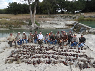 Texas Wingshooting & Driven Hunting 53