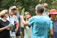 KZUM's How's it Growin'? - Big if you're a tree! | Nature Walk