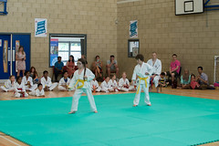 Karate Summer 18-68 • <a style="font-size:0.8em;" href="http://www.flickr.com/photos/143593165@N07/43342503222/" target="_blank">View on Flickr</a>