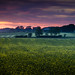 Farmland+at+dusk