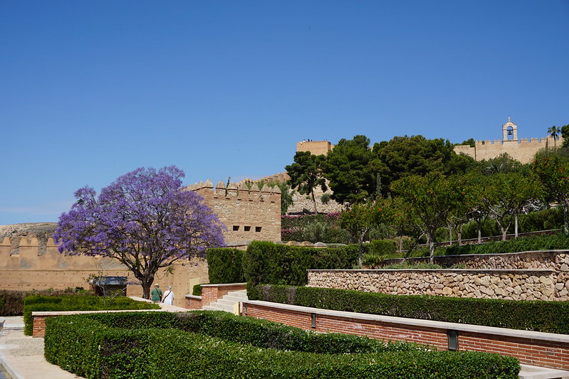 Alcazaba garden and walls, Almeria, Spain<br/>© <a href="https://flickr.com/people/24879135@N04" target="_blank" rel="nofollow">24879135@N04</a> (<a href="https://flickr.com/photo.gne?id=42783207982" target="_blank" rel="nofollow">Flickr</a>)