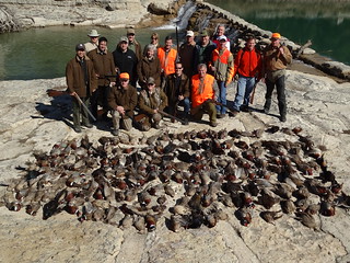 Texas Wingshooting & Driven Hunting 28