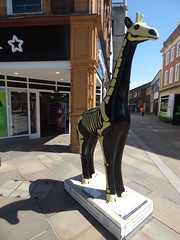 High Street, Worcester - Worcester Stands Tall - Bones