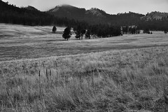 First Views Across the Prairie Landscape and Rolling Hills of Wind Cave National Park (Black & White)