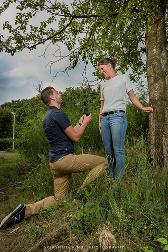 She said Yes! (Hannah & Manoach)