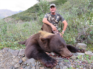 Alaska Brown Bear Hunt - Peninsula 5