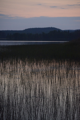 Hårig • <a style="font-size:0.8em;" href="http://www.flickr.com/photos/60821384@N05/29968304698/" target="_blank">View on Flickr</a>
