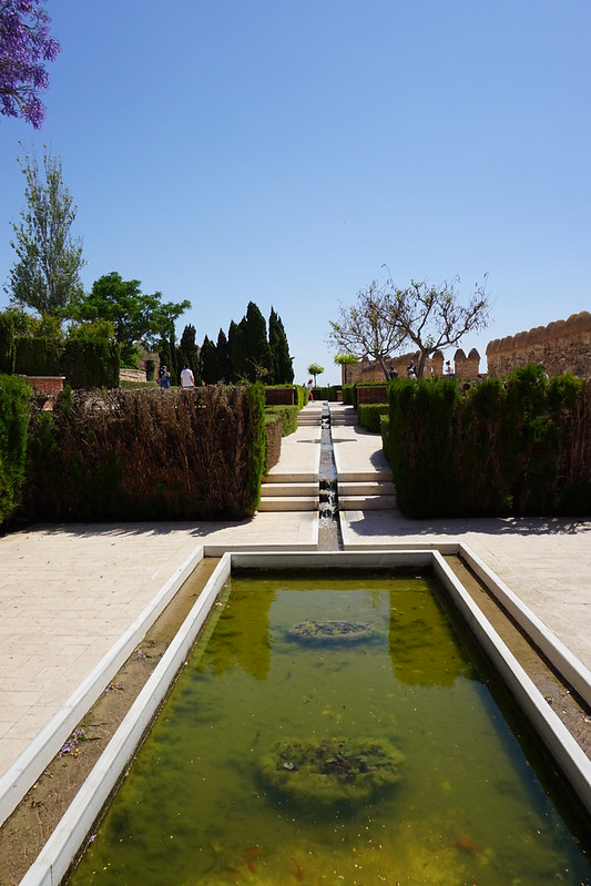 Alcazaba garden and walls, Almeria, Spain<br/>© <a href="https://flickr.com/people/24879135@N04" target="_blank" rel="nofollow">24879135@N04</a> (<a href="https://flickr.com/photo.gne?id=41930796595" target="_blank" rel="nofollow">Flickr</a>)