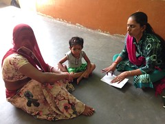 Baseline Study on Heena Growers in Sojat, Rajasthan