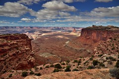 I Walk in Beauty of Creation (Canyonlands National Park)