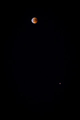 Almost seems silly to publish it but look closely.  That's the blood moon on the top and on the lower right side is Mars.