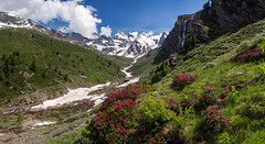 Spring in the Guil Valley