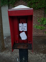 8-19-2018: Phoning it in. Somerville, MA