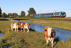 Railpromo in Sassenheim, 01-07-2018
