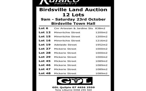 ' Diamantina Shire Council Auction', Birdsville QLD
