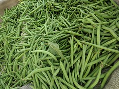 August 12: Green Beans