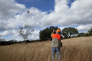 Texas Wingshooting & Driven Hunting 1