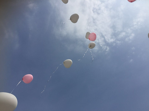 Helium Balloons Heart Shaped Balloons Funeral Rotterdam