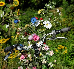 flowers on a bicycle
