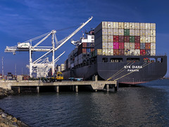 231/365  NYK Diana Container Ship IMO: 9337688