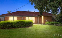 2 Nike Court, Carrum Downs Vic