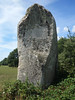 Le menhir dit  La Pierre Longue  prs de Pluherlin - Morbihan - Aot 2018 - 04