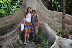 Samantha and Kanitha between the roots of the giant Tualang
