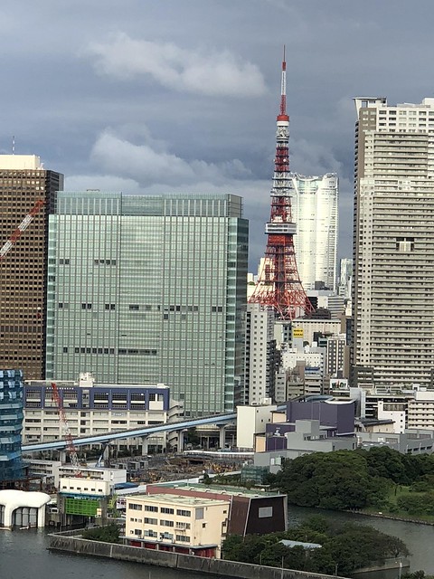 うちは中層階の西向きで、東京タワーの一部...