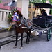 You can also take a horse cart- seems cruel to tie the horse as well