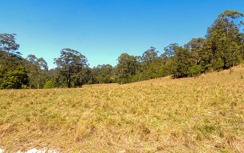 309 Tunnel Road, Stokers Siding NSW