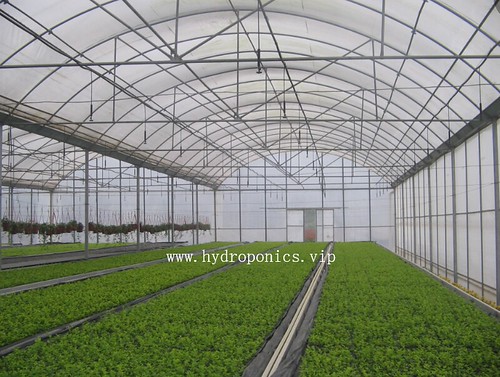 Greenstream Hydroponics