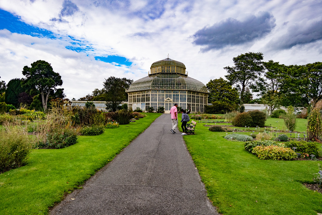TUESDAY AFTERNOON AT THE BOTANIC GARDENS [IMAGES AT RANDOM USING A SONY RX0]-144682