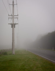 20180915_0042_40D-40 Fog on Tram Road (alternate crop) (258/365)