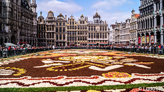 Flower Carpet 2018