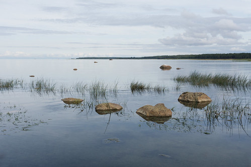 Gulf of Finland, Shepelovo, Leningrad Oblast, Russia