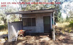 Lot 125, 1036 Staircase Road, Mandagery NSW