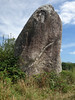 Le menhir dit  La Pierre Longue  prs de Pluherlin - Morbihan - Aot 2018 - 07